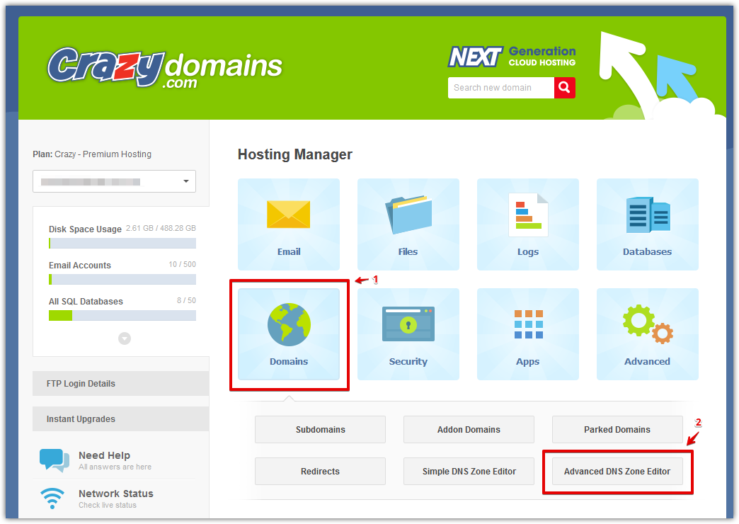 Access Crazy Domains DNS zone