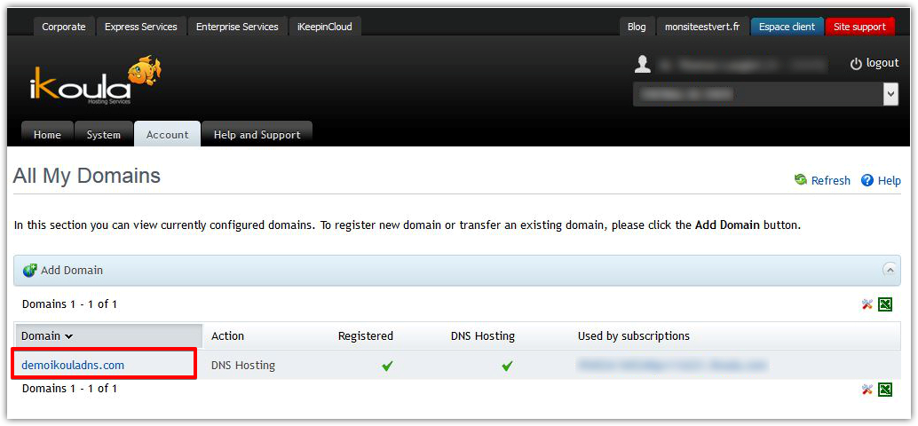 Ikoula domain selection