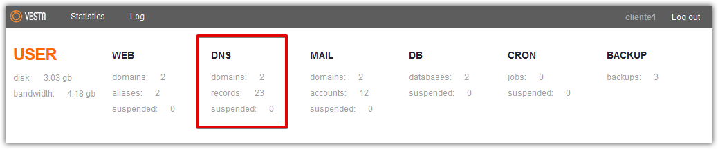 Access DNS on Vesta